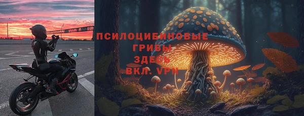 ешки Горнозаводск