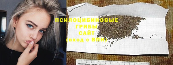 ешки Горнозаводск