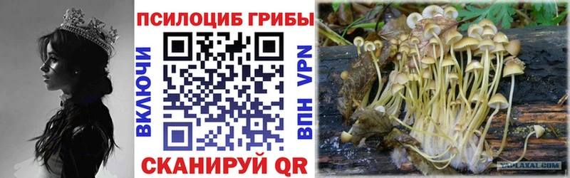 Галлюциногенные грибы Magic Shrooms  Питкяранта 